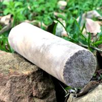 The sandstone core