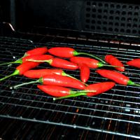 Using the oven to dry chilli